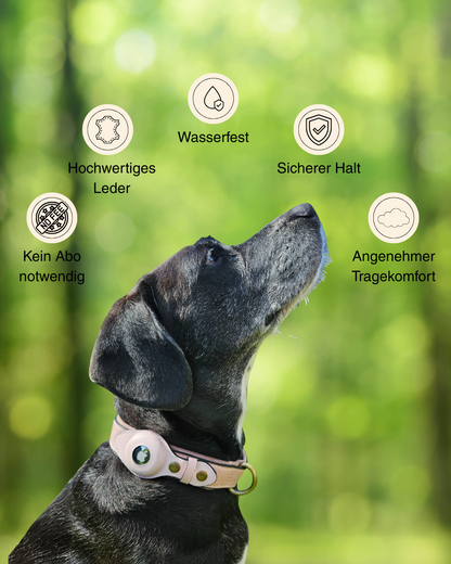 BuddyTag™ Komfort - gepolstertes Lederhalsband mit Trackerfach