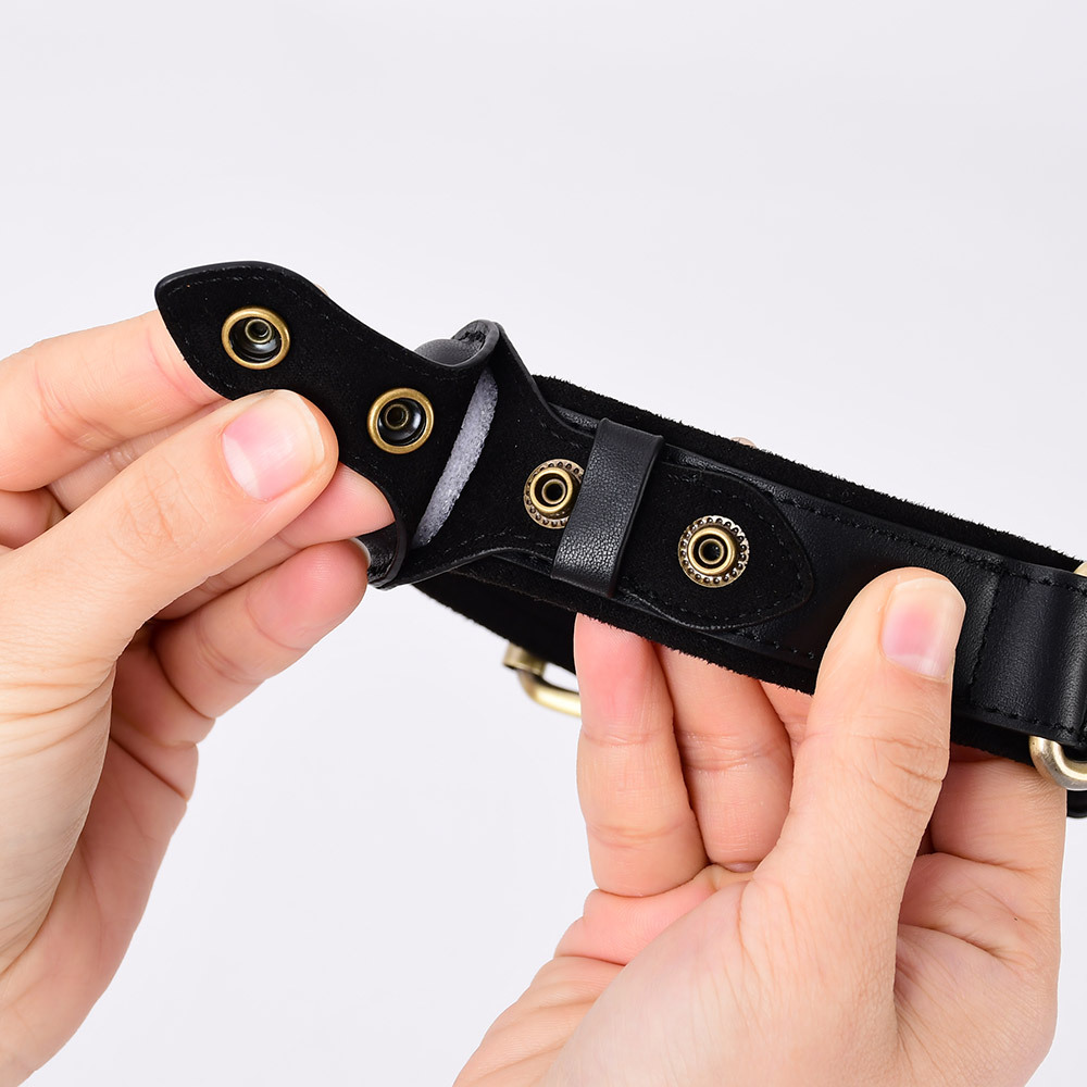 BuddyTag™ Komfort - gepolstertes Lederhalsband mit Trackerfach